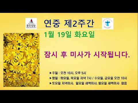 영상썸네일