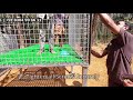 HiTech Goat Cage Making | Goat Farm Cage Flooring | Slatted Floor | Farming Slatted Floor | AtomTech