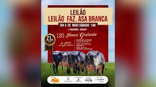 LEILÃO FAZENDA ASA BRANCA