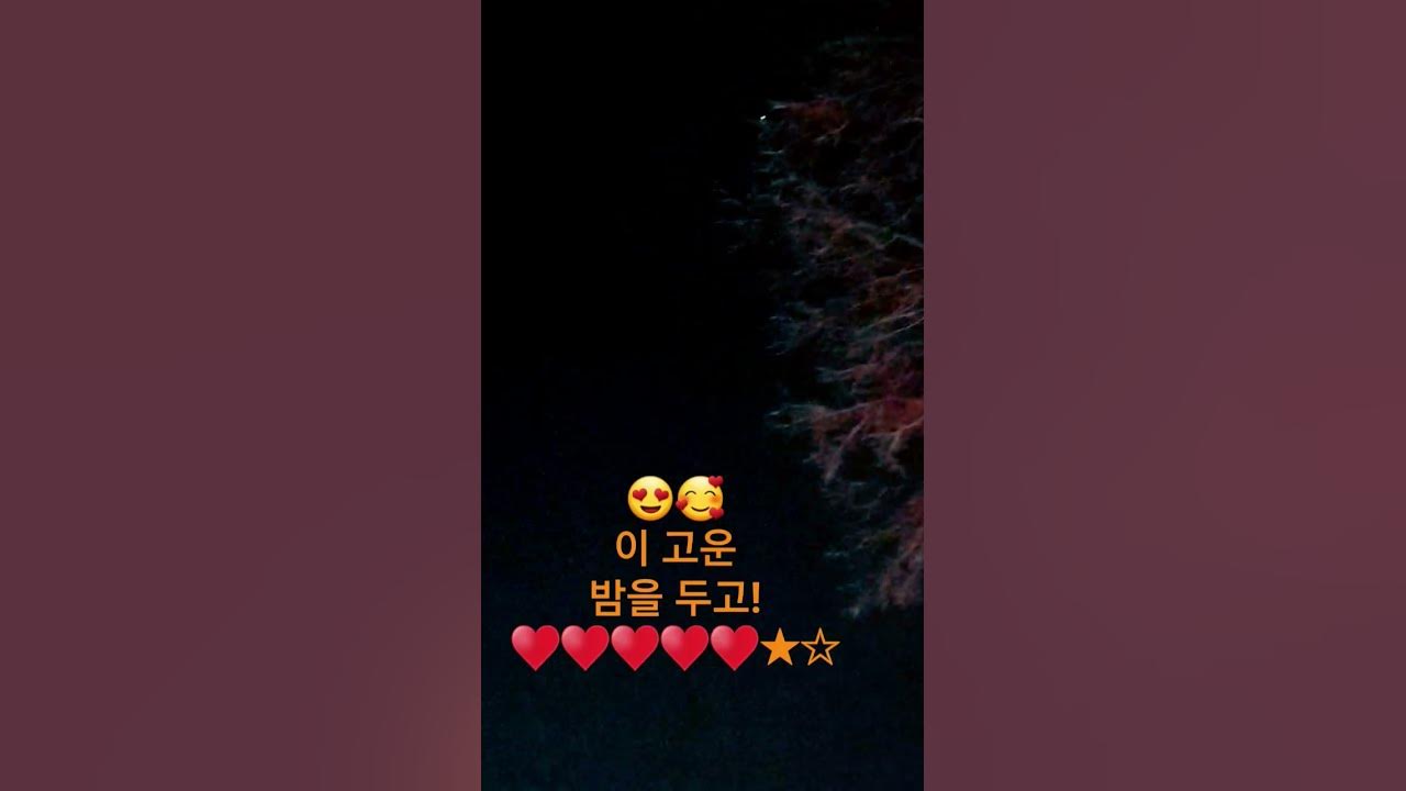 #동숙의 노래;문주란;너무나도~~🥰😍♥★☆♥★☆♥★☆