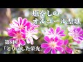 癒やしのオルゴール聖歌～心安らぐ清らかな音色～ 第8回「とり戻した栄光」（Holy Songs Music Box Collection）