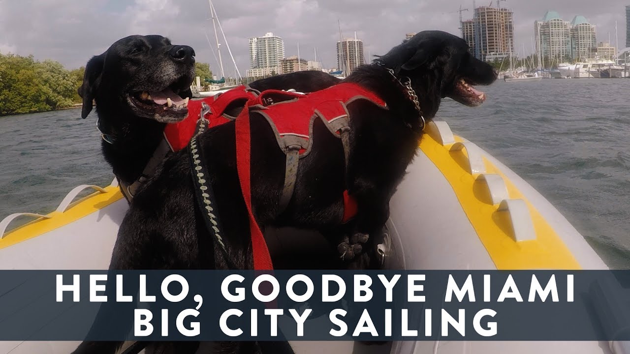 S02 E06 Hello, Goodbye Miami: Big City Sailing & Dinghy Rides with Dogs
