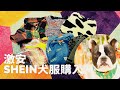 sheinマジ激安‼️今更ながら犬服買ってみた！！とりあえずできるとこまでファションショー前半編
