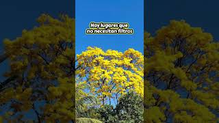 Hay rincones que nos recuerdan lo afortunados que somos de vivir rodeados de tanta belleza. ?
