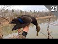 A Little Ice Goes A Long Way | Swamp Duck Hunting