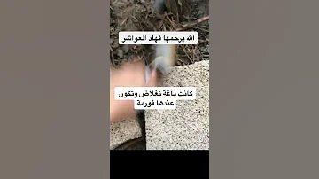 سيرو نورافيت لزيادة الوزن سيرو فاتح شهية 