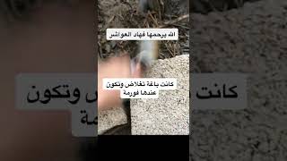 سيرو نورافيت لزيادة الوزن  سيرو فاتح شهية