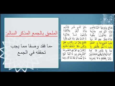 6 المثنى والجموع والملحقات والممنوع من الصرف