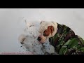 АМЕРИКАНСКИЙ БУЛЬДОГ.МИША-МОРЖ.ДЖОННИ ВСТРЕЧАЕТ ПАПУ\AMERICAN BULLDOG.MISHA WALRGE.JOHNNY MEETS DAD