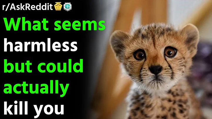 What seems harmless but could actually kill you?/AskReddit Reddit Storie.