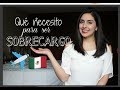 ¿Qué necesito para ser Sobrecargo/ Azafata / Aeromoza? + México ♥ Sofie Feregrino