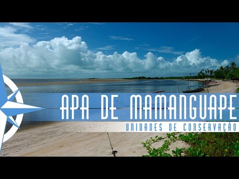 Área de Proteção Ambiental da Barra do Rio Mamanguape - Episódio 40