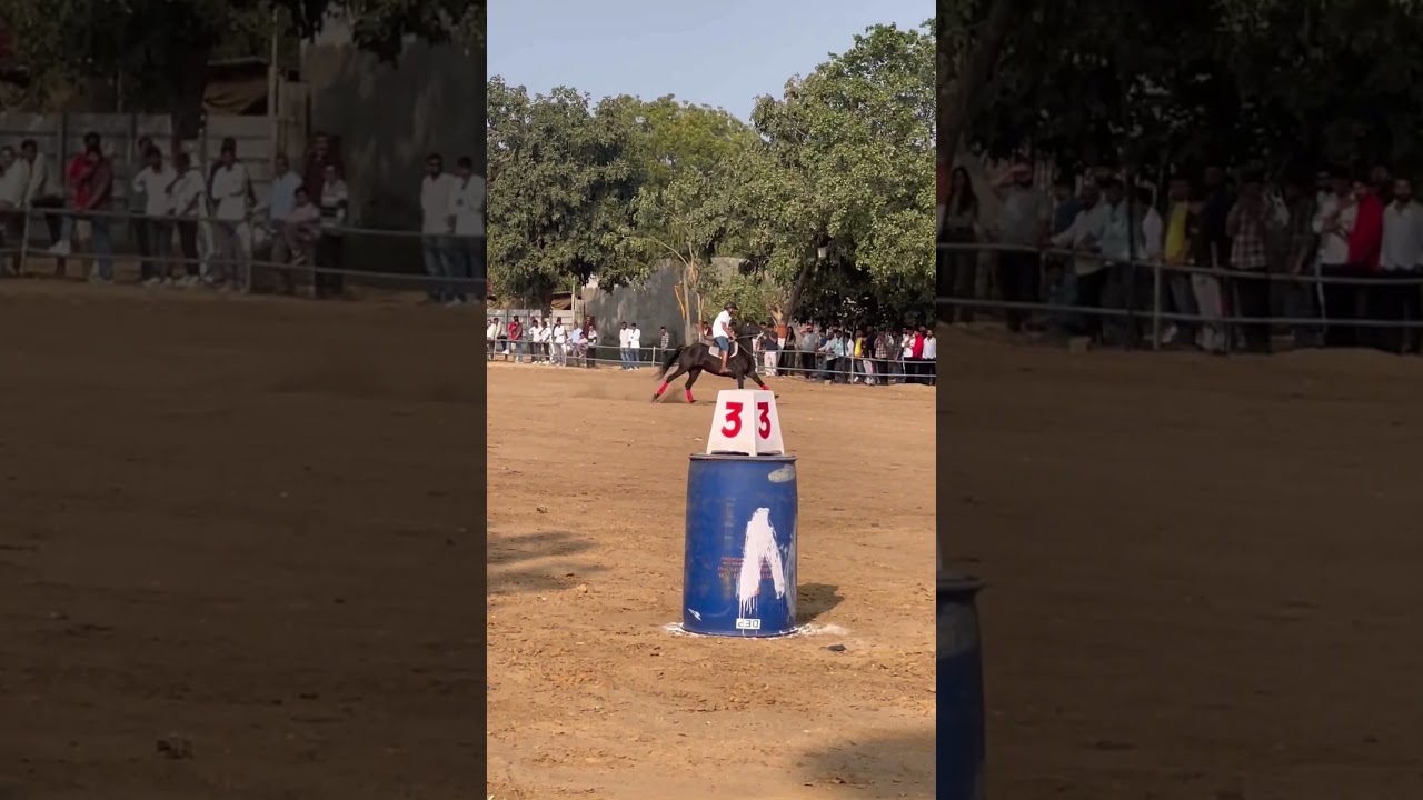 Day 2 – Stud Glory Horse Show 2026 