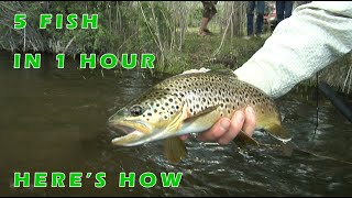East Walker River Fly Fishing Finale 5 fish 3 techniques