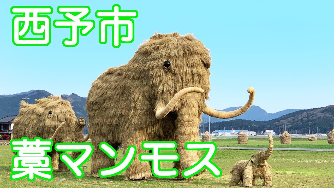 西予市 藁マンモス(2022.4.6)