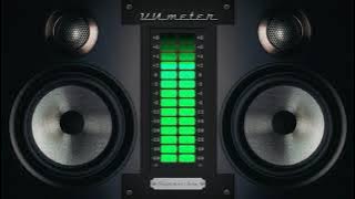 ULTRA BASS TEST 8821HZ 8821WATT (SUBWOOFER VIBRATION)