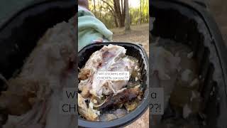 Will My Chickens Eat Chicken?