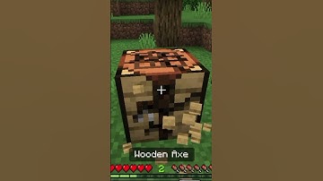 Minecraft But I Can