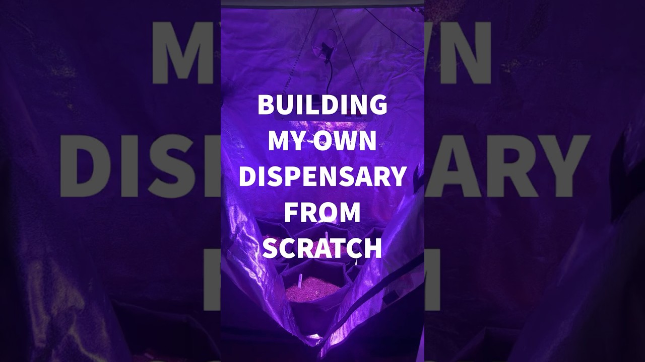 Building My Own Dispensary Ep. 1 