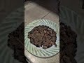 jukham bhagane ka Desi and very helpful jugaad#trending #healthylifestyle#viralvideo #youtubeshorts