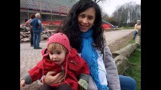 vida da sol final 170408