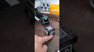 Vector Cube Play Test: Why Won’t He Play? 🤔