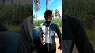 Dukung Niwari - Kandang Rokem Situbondo