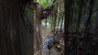 Hiking To Spitting Caves Oahu Hawaii