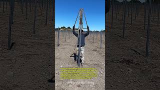 Manual Post Driver Tool Installing Metal Vineyard Stakes