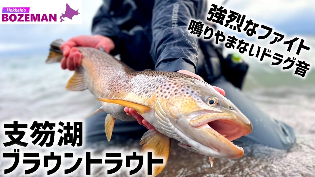 支笏湖60upブラウントラウト。雪残る3月の支笏湖で過去一のファイト【北海道釣り】【支笏湖釣り】