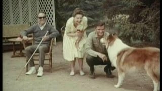 Lassie - Episode #523 - "Warm Heart--Cold Nose" - Season 16, Ep. 20 - 02/15/1970