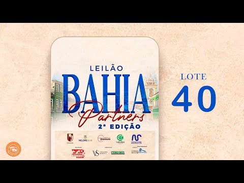 LOTE 40 DVD 5179