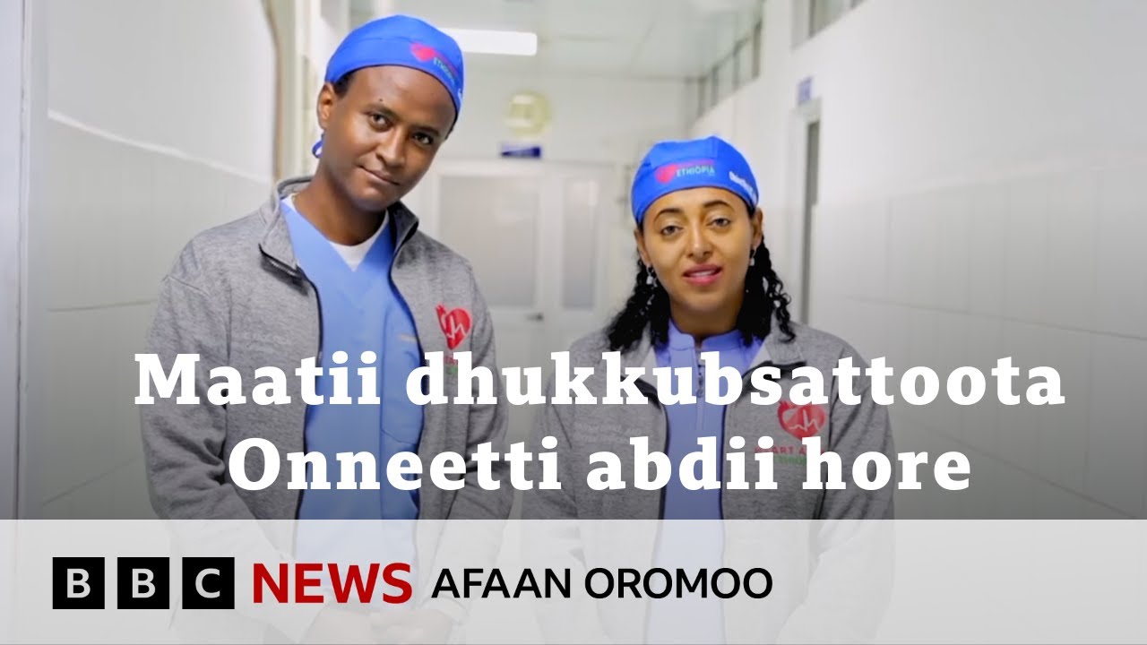 Waldhaansa kana tola kennuun isaaniif maal jechuudha? Biyyaafoo?| BBC News Afaan Oromoo