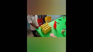 Vidya Pravesh activities