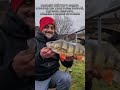 Угадайте вес окуня #рыбалка #рыбак #окунь #ловляокуня