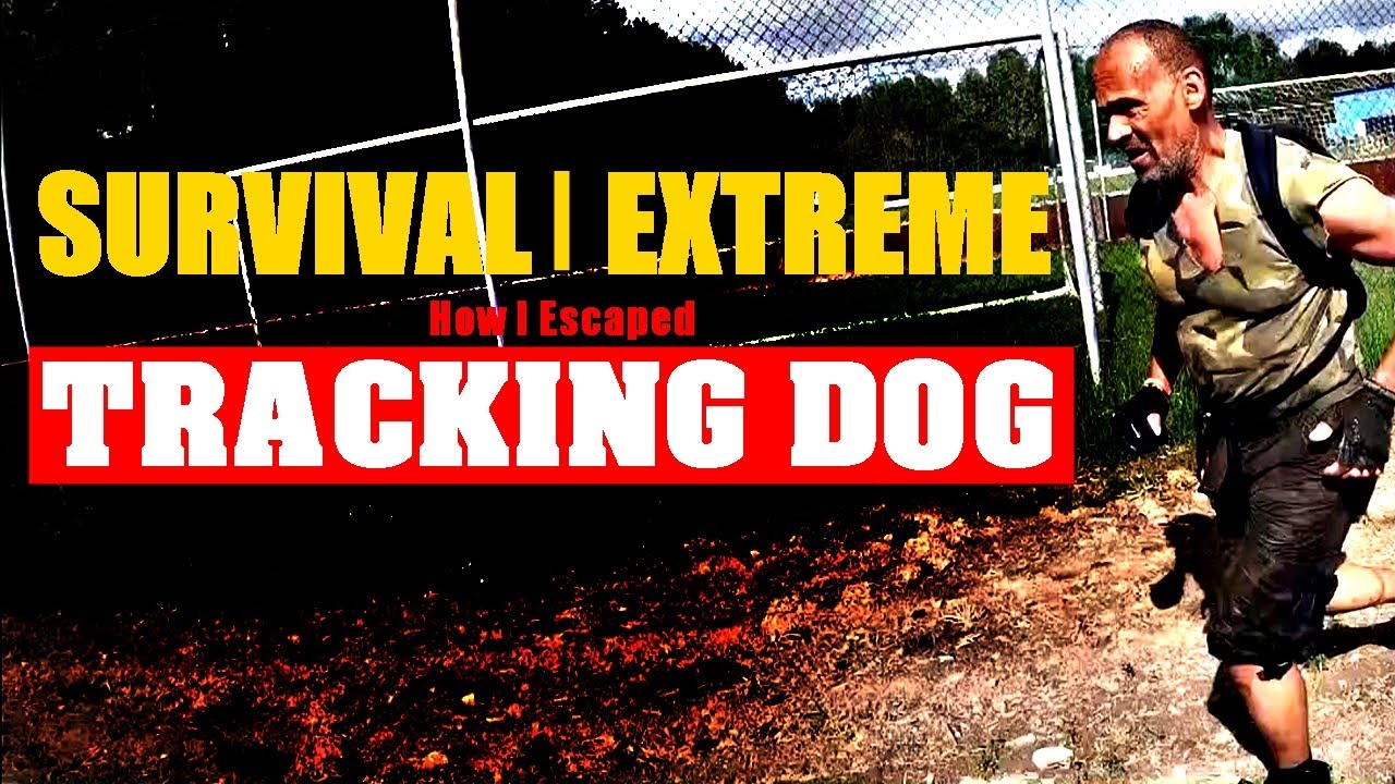 ЭКСТРИМ ВЫЖИВАНИЯ - Как я сбежал от собаки-ищейки