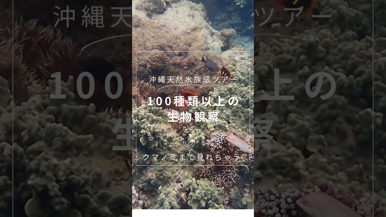 自然体験ジョン万パーク 天然水族感®〜泳がずに楽しめる、天然の水族館〜