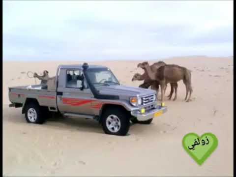 رفيقك دليل طريقك