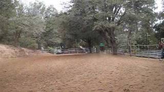 Vegan Sarah Horsebackriding at Raintree Ranch with Will! Anywhere but here by Rise Against