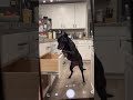 The Last Few Seconds Completely Changed The Video