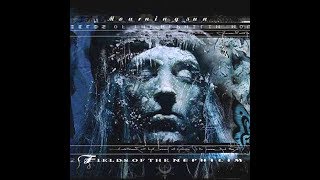 Fields of the Nephilim - Straight to the Light