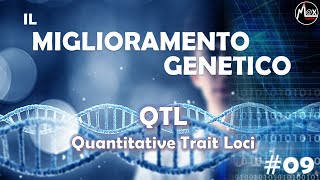 Qtl  Quantitative Trait Loci  Il Miglioramento Genetico 09