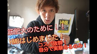 【HMB 】HMB EAA の筋肥大効果の有無を１ヶ月実験致します！