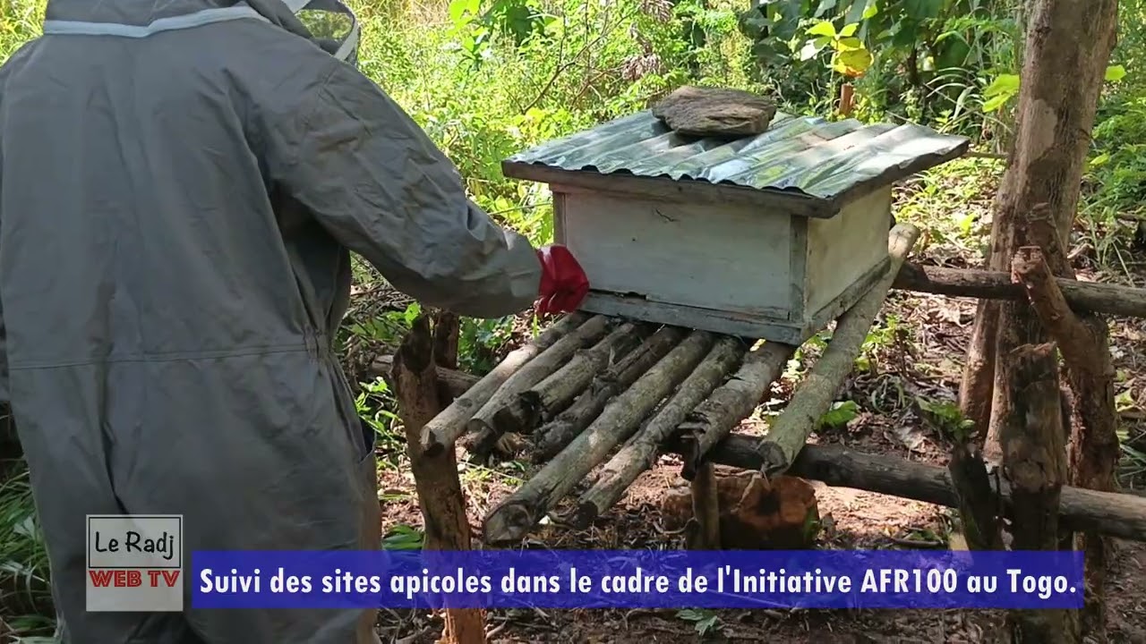 SUIVI DES SITES APICOLES_INITIATIVE AFR100 AU TOGO