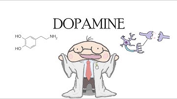 Universal Law of Irony Arc: Dopamine & Anticipation