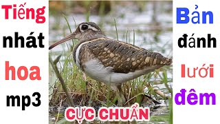 The sound of a bird shying away from flowers is very standard | bird song sharing channel