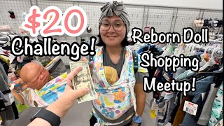 Reborn Baby $20 Shopping Challenge Meetup And Haul!