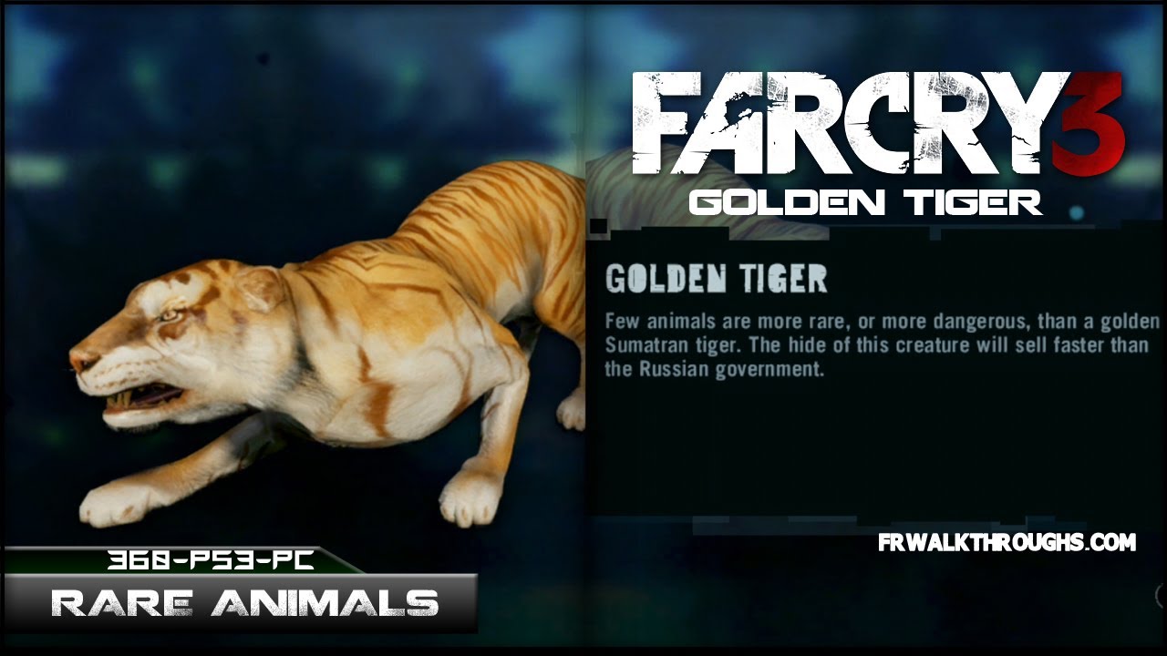 Far Cry 3 Hunting Rare Animals Golden Tiger - YouTube