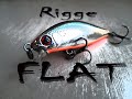 ZipBaits Rigge FLAT 45 S.  Береговая рыбалка !