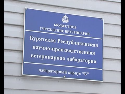 Оказались на грани выживания. Востребованная отрасль республики нуждается в реанимации